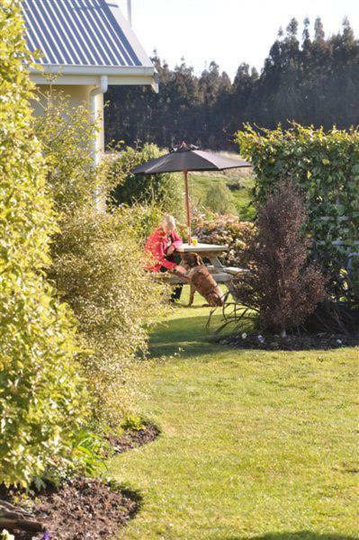 Blue Thistle Cottages Te Anau Extérieur photo
